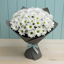Букет белые хризантемы в Сарове Букет цветов из:  Хризантемы в Сарове